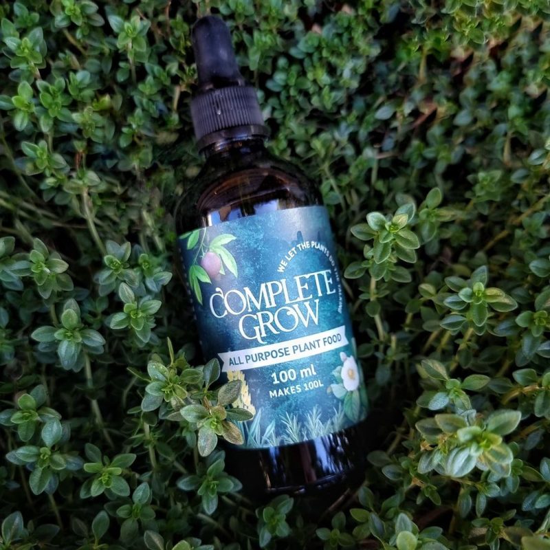 All Purpose Indoor Plant Food Premium Fertiliser 500ml makes 500 Litres