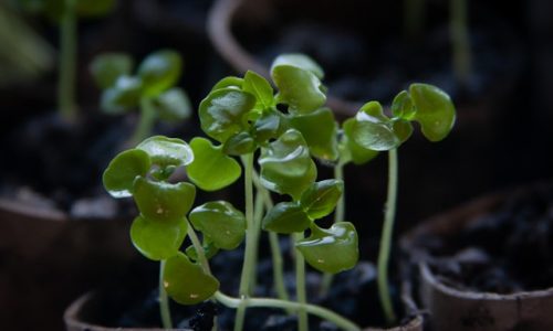 adel-grober-3CrRI2h5w7M-unsplash adel-grober-3CrRI2h5w7M-unsplash