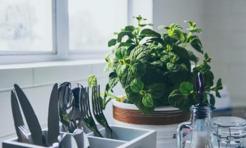 al-kawasa-HbSsikCxgds-unsplash (1) al-kawasa-HbSsikCxgds-unsplash (1)