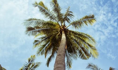 alec-bennett-f9NACz3-V-s-unsplash (1) alec-bennett-f9NACz3-V-s-unsplash (1)