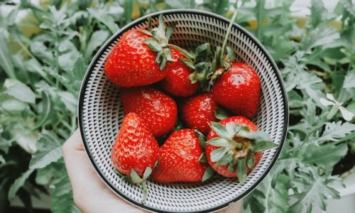 anastasia-zhenina-V9g1kwNsxwc-unsplash anastasia-zhenina-V9g1kwNsxwc-unsplash