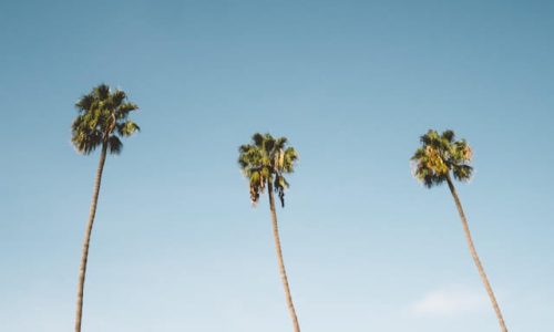 andrew-ridley-WcxOZSezy0k-unsplash (1) andrew-ridley-WcxOZSezy0k-unsplash (1)