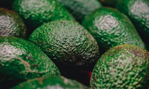anthony-le-FLPQG-M7JTo-unsplash anthony-le-FLPQG-M7JTo-unsplash