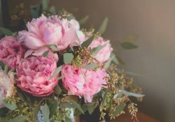 bonnie-kittle-BjvINSPxoOc-unsplash (1)