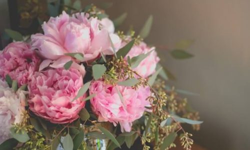 bonnie-kittle-BjvINSPxoOc-unsplash (1) bonnie-kittle-BjvINSPxoOc-unsplash (1)