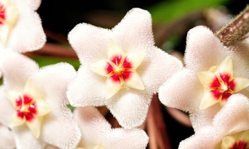 claud-richmond-NrY0Y9UlBzI-unsplash (1) claud-richmond-NrY0Y9UlBzI-unsplash (1)