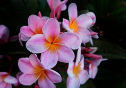 colin-watts-LuOb5p6DX7g-unsplash