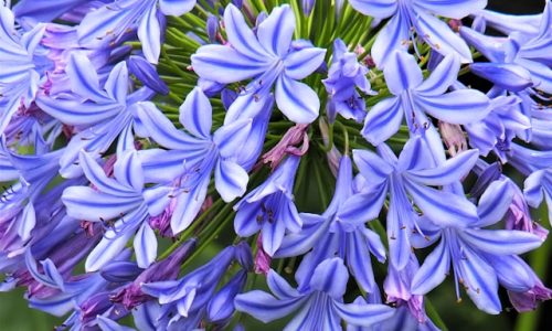 deb-dowd-41ZoIZrNGKA-unsplash deb-dowd-41ZoIZrNGKA-unsplash