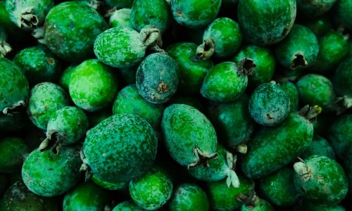 elena-g-XpHY3u3EeVw-unsplash (1) elena-g-XpHY3u3EeVw-unsplash (1)