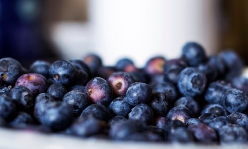 elke-karin-lugert-4IAp_N7xu-k-unsplash elke-karin-lugert-4IAp_N7xu-k-unsplash