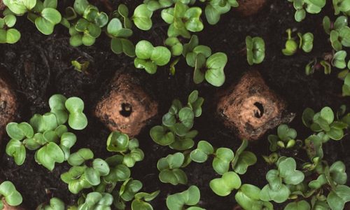 elly-m-rCjR8t0T6yU-unsplash elly-m-rCjR8t0T6yU-unsplash