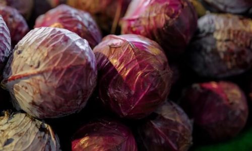 engin-akyurt-UGFR8hoGlUQ-unsplash (1) engin-akyurt-UGFR8hoGlUQ-unsplash (1)