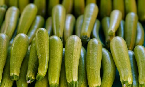 engin-akyurt-UZwzV_roK18-unsplash (1) engin-akyurt-UZwzV_roK18-unsplash (1)