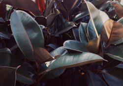 eric-fiori-AZE7gJwoqsk-unsplash (1)