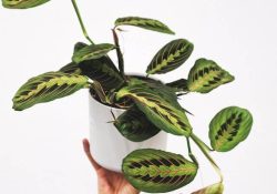 feey-J-nfuMjUEH0-unsplash (1)