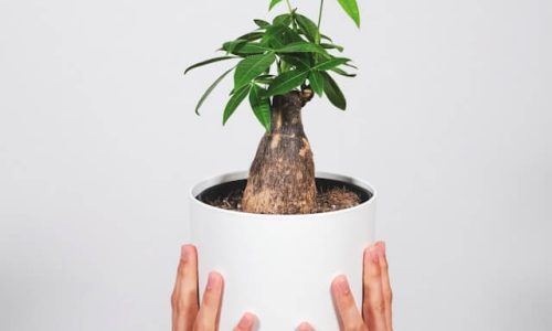 feey-xJh27OYI7zg-unsplash (1) feey-xJh27OYI7zg-unsplash (1)