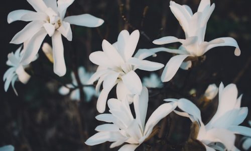 freestocks-2BEpx-JMEZE-unsplash freestocks-2BEpx-JMEZE-unsplash