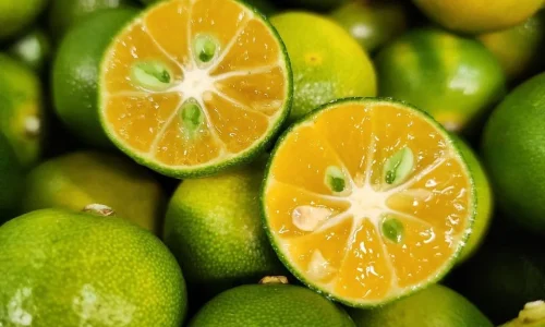 fresh-calamansi-limes-489940_1024x1024@2x fresh-calamansi-limes-489940_1024x1024@2x