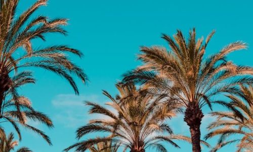 henry-be-KttgjNw5Iqo-unsplash (1) henry-be-KttgjNw5Iqo-unsplash (1)