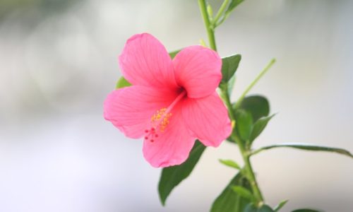 infant-ajith-UN1oFi9m89c-unsplash infant-ajith-UN1oFi9m89c-unsplash
