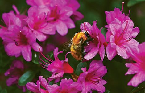 istock-photo (1)