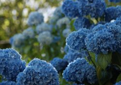 jan-ranft-cybbp711b9Q-unsplash