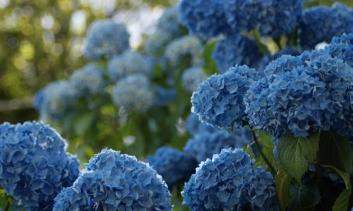 jan-ranft-cybbp711b9Q-unsplash jan-ranft-cybbp711b9Q-unsplash