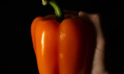 jen-dries-VTRixRGT01Q-unsplash (1) jen-dries-VTRixRGT01Q-unsplash (1)