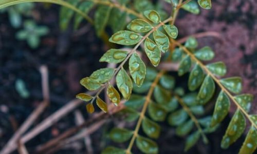 jordan-ling-ggcUXltg9M4-unsplash (1) jordan-ling-ggcUXltg9M4-unsplash (1)