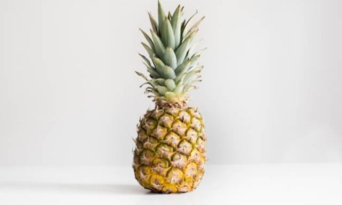 julien-pianetti-Cr9hZrpC1Oc-unsplash (1)