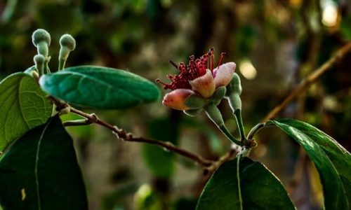 kostiantyn-vierkieiev-9_x2Gy_SuDE-unsplash (1) kostiantyn-vierkieiev-9_x2Gy_SuDE-unsplash (1)