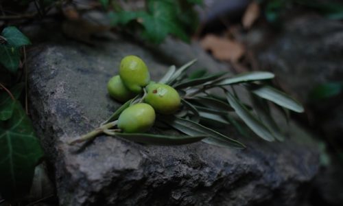 kris-sevinc-ymlEplh33DY-unsplash kris-sevinc-ymlEplh33DY-unsplash