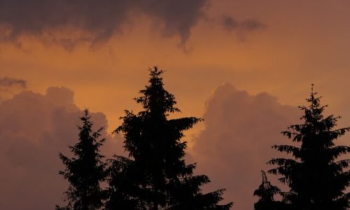 laurence-t1dQi3Jz1wk-unsplash (1) laurence-t1dQi3Jz1wk-unsplash (1)