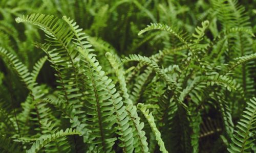 li-xiaohan-Tha0N2zfrT8-unsplash li-xiaohan-Tha0N2zfrT8-unsplash