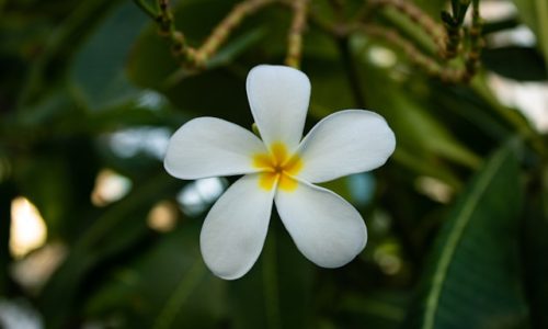 lukas-stoermer-2B28K1DksyM-unsplash lukas-stoermer-2B28K1DksyM-unsplash