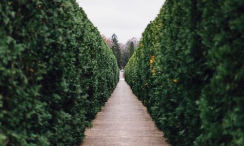maxwell-young-bQYV0dz9GjE-unsplash maxwell-young-bQYV0dz9GjE-unsplash