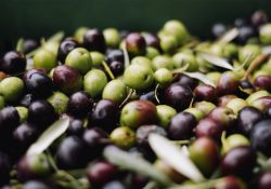 melina-kiefer-bavD_RW9pTQ-unsplash