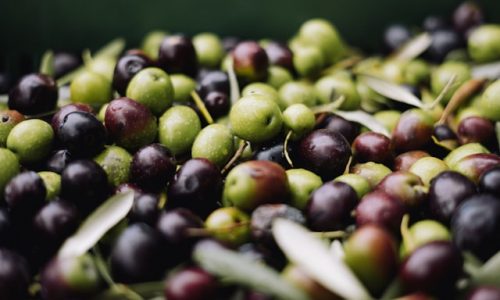 melina-kiefer-bavD_RW9pTQ-unsplash melina-kiefer-bavD_RW9pTQ-unsplash