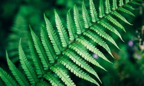 mike-erskine-K20boRWBDso-unsplash mike-erskine-K20boRWBDso-unsplash