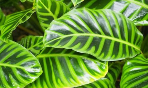 natary-t-omeXp76nIbk-unsplash (1) natary-t-omeXp76nIbk-unsplash (1)