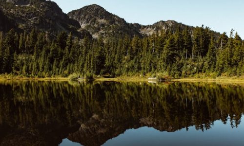 nathan-dumlao-ztk28558QWg-unsplash (1) nathan-dumlao-ztk28558QWg-unsplash (1)