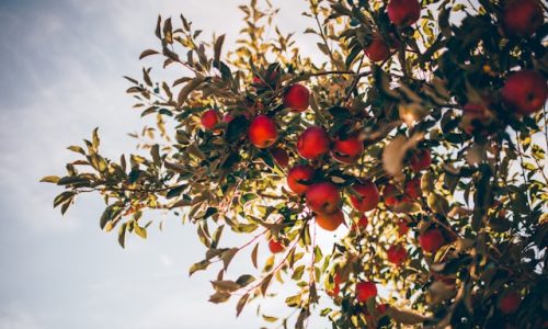 nathan-hulsey-zXQFq-KDNFs-unsplash nathan-hulsey-zXQFq-KDNFs-unsplash