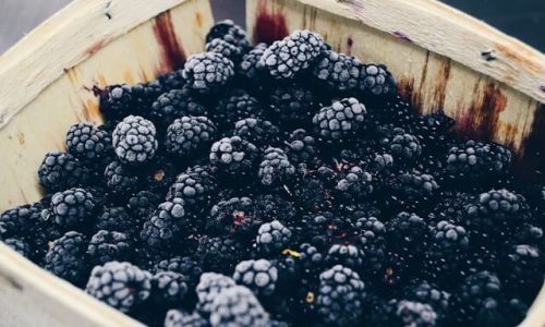 nick-sarro-qydnkODHMo4-unsplash (1) nick-sarro-qydnkODHMo4-unsplash (1)
