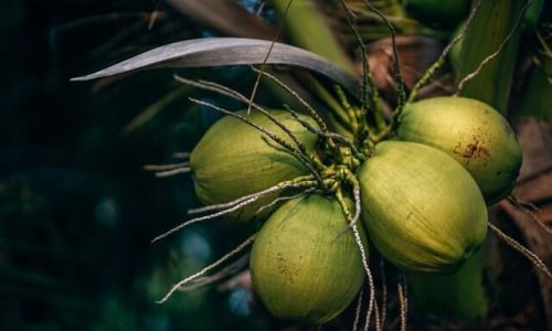 nipanan-lifestyle-pV2xU2rP580-unsplash (1) nipanan-lifestyle-pV2xU2rP580-unsplash (1)