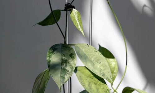 p-HFitUCcKzfI-unsplash (1) p-HFitUCcKzfI-unsplash (1)