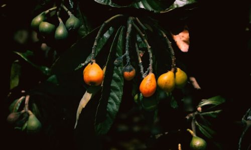 parker-sturdivant--6p0-pIJ3ck-unsplash (1) parker-sturdivant--6p0-pIJ3ck-unsplash (1)