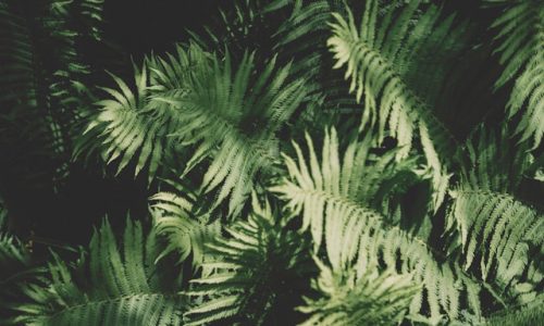 peter-mason-CJfXTyAwa0o-unsplash peter-mason-CJfXTyAwa0o-unsplash