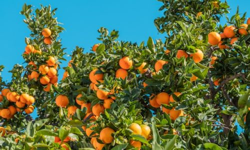 philippe-gauthier-eaOjEz8746k-unsplash philippe-gauthier-eaOjEz8746k-unsplash