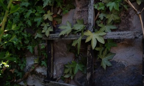sabina-music-rich-PCH-CU_sgoo-unsplash (1) sabina-music-rich-PCH-CU_sgoo-unsplash (1)