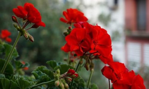 sandra-wei-P29JvT01INM-unsplash (1) sandra-wei-P29JvT01INM-unsplash (1)